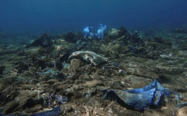 andros-2-thumb-large