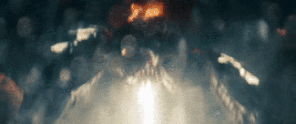 mistyhideoushawaiianmonkseal-size_restricted-1